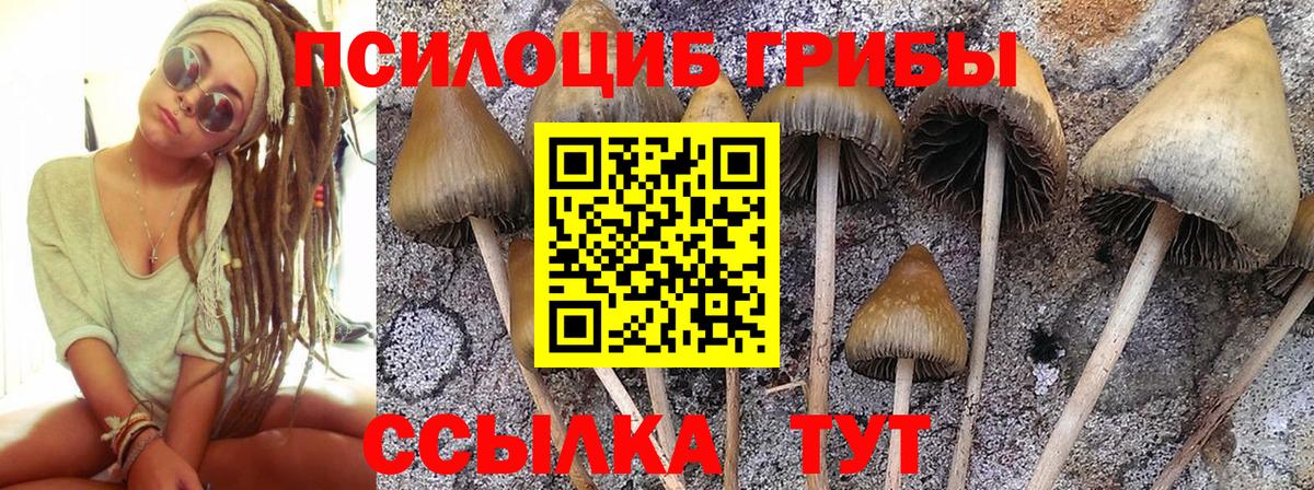 КОКАИН  Гашиш  Павловский Посад  КЕТАМИН  Вход с VPN  ТГК  Конопля  Магазин наркотиков  А ПВП СОЛЬ   МЕФ кристаллы  MDMA 