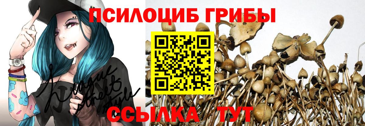 Галлюциногенные грибы мицелий  Вход с VPN  закладки  Псилоцибиновые грибы GOLDEN TEACHER  Павловский Посад 