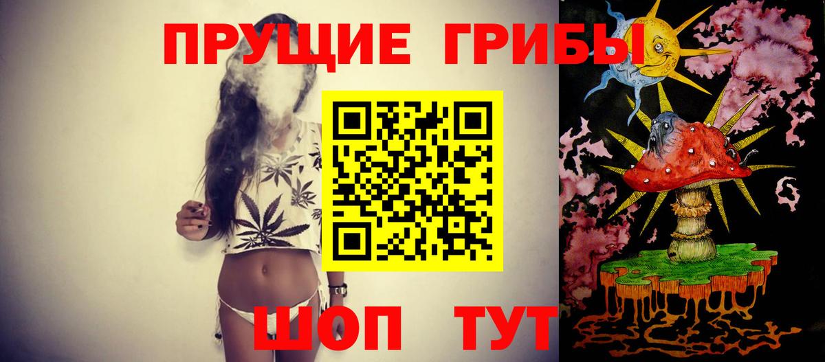 Псилоцибиновые грибы мухоморы Павловский Посад